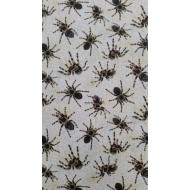 You  Bug Me - Spiders - 120-13781 - J.A. Young 
